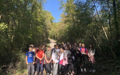 NAJDI ZLATNEGA PETEŠIĆA-terenska nastava petih razreda